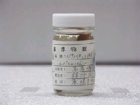 藏品(黑腕海豬魚)的圖片